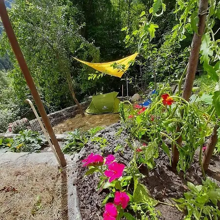 Piccola Oasi Nella Frescura Delle Alpi Tra Verdi Boschi E Sorgenti Di Acqua Purissima Holiday home *