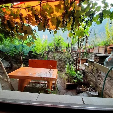 Piccola Oasi Nella Frescura Delle Alpi Tra Verdi Boschi E Sorgenti Di Acqua Purissima Holiday home *