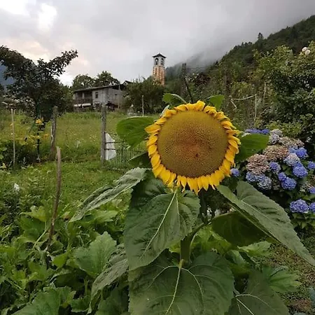 Piccola Oasi Nella Frescura Delle Alpi Tra Verdi Boschi E Sorgenti Di Acqua Purissima * Vanzone